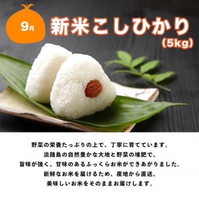 【野口ファーム】【全5回定期便】 贅沢!旬のバラエティセット