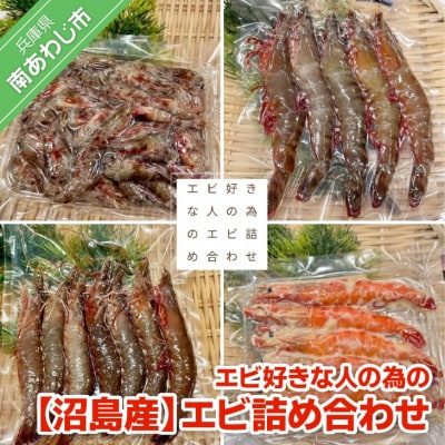 【沼島産】エビ好きな人の為のエビ詰め合わせ　◆配送11/1～2/28