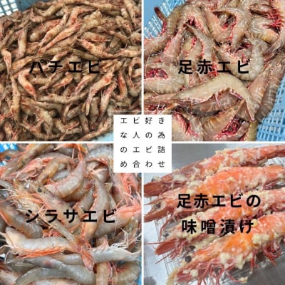 【沼島産】エビ好きな人の為のエビ詰め合わせ　◆配送11/1～2/28