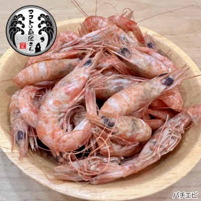 【沼島産】エビ好きな人の為のエビ詰め合わせ　◆配送11/1～2/28