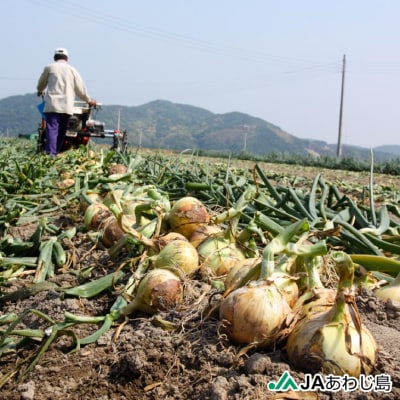 【新玉ねぎ】★発送3月～★JAあわじ島のほんまもんたまねぎ【5kg】極早生種