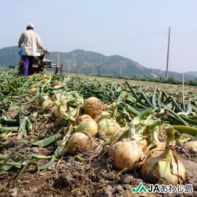 【新玉ねぎ】JAあわじ島のほんまもんたまねぎ【5kg】極早生種　◆発送3月～