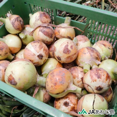 【新玉ねぎ】JAあわじ島のほんまもんたまねぎ【5kg】極早生種　◆発送3月～