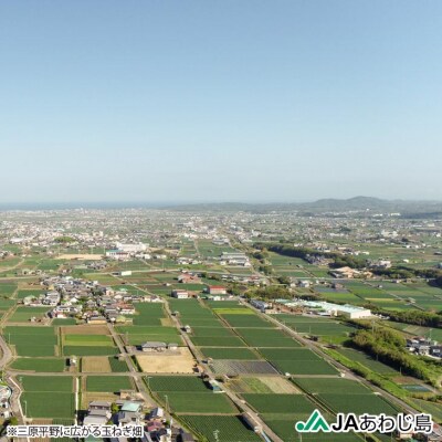 【新玉ねぎ】JAあわじ島のほんまもんたまねぎ【3kg】極早生種　◆発送3月～