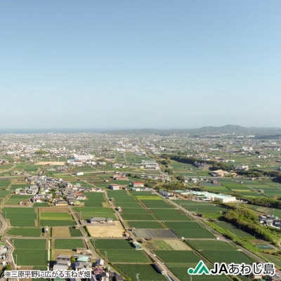 【新玉ねぎ】JAあわじ島のほんまもんたまねぎ【8kg】極早生種　◆発送3月～