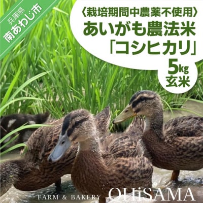 令和6年産　コシヒカリ　5Kg　玄米　栽培期間中農薬不使用　あいがも農法米