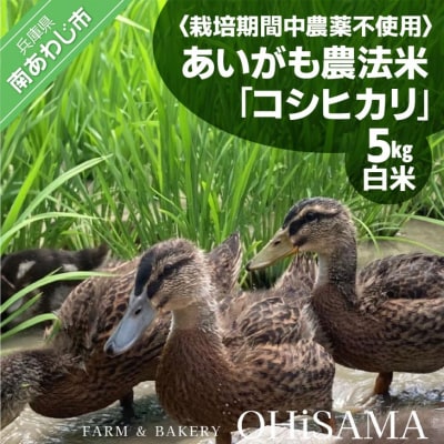 令和7年産　コシヒカリ　5Kg　白米　栽培期間中農薬不使用　あいがも農法米