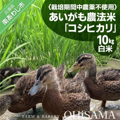 令和6年産　コシヒカリ　10Kg(5kg×2)　白米　栽培期間中農薬不使用　あいがも農法米