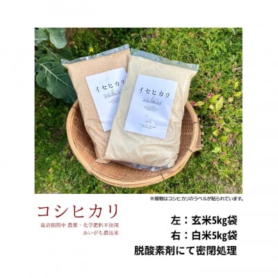 令和6年産　コシヒカリ　10Kg(5kg×2)　白米　栽培期間中農薬不使用　あいがも農法米