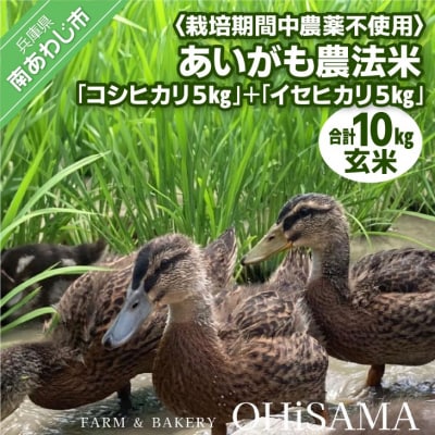 令和6年産　コシヒカリ5Kg+イセヒカリ5Kg　玄米　栽培期間中農薬不使用　あいがも農法米