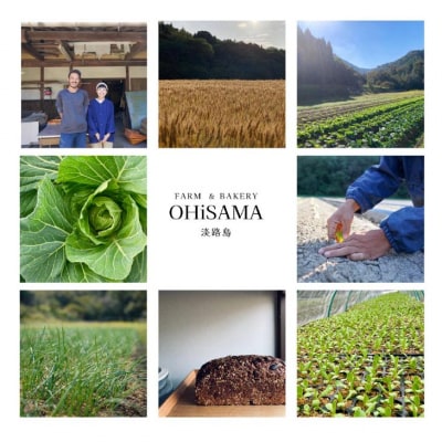 令和7年産　コシヒカリ5Kg+イセヒカリ5Kg　玄米　栽培期間中農薬不使用　あいがも農法米