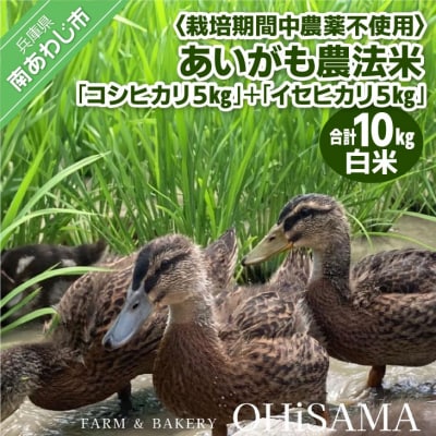 令和7年産　コシヒカリ5Kg+イセヒカリ5Kg　白米　栽培期間中農薬不使用　あいがも農法米
