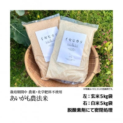 令和6年産　コシヒカリ5Kg+イセヒカリ5Kg　白米　栽培期間中農薬不使用　あいがも農法米