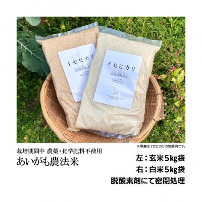 令和7年産　コシヒカリ5Kg+イセヒカリ5Kg　白米　栽培期間中農薬不使用　あいがも農法米