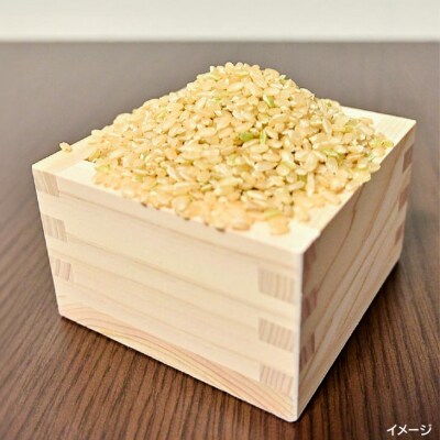栽培期間中農薬不使用・化学肥料不使用の令和6年産ヒノヒカリ(3分づき米　5kg)