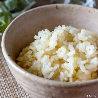 栽培期間中農薬不使用・化学肥料不使用の令和6年産ヒノヒカリ(3分づき米　5kg)