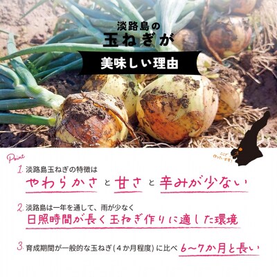 【新玉ねぎ】淡路島産 早採り新玉ねぎ 3kg　◆配送3月中旬～