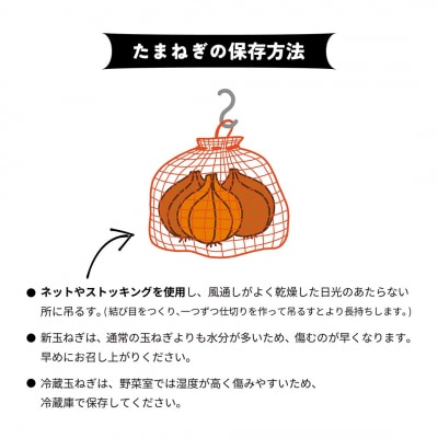 【新玉ねぎ】淡路島産 早採り新玉ねぎ 3kg　◆配送3月中旬～