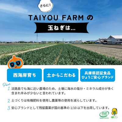 【新玉ねぎ】淡路島産 早採り新玉ねぎ 5kg　◆配送3月中旬～
