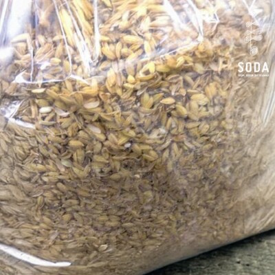 自然乾燥のお米のもみ殻(700g×5袋)