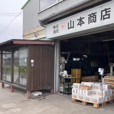 【オニオン魂】 淡路島新たまねぎ　10kg　◆配送3月上旬～