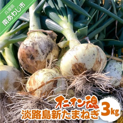 【オニオン魂】 淡路島新たまねぎ　3kg　◆配送3月上旬～