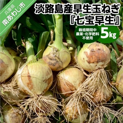 淡路島産早生玉ねぎ『七宝早生』5㎏ 栽培期間中農薬不使用　化学肥料不使用◆配送4月下旬～