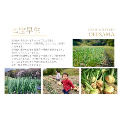 淡路島産早生玉ねぎ『七宝早生』5㎏ 栽培期間中農薬不使用　化学肥料不使用◆配送4月下旬～