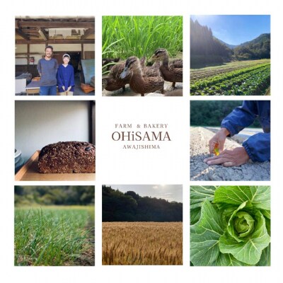 淡路島産早生玉ねぎ『七宝早生』5㎏ 栽培期間中農薬不使用　化学肥料不使用◆配送4月下旬～