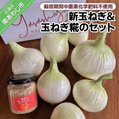 有機農法で栽培(栽培期間中農薬化学肥料不使用)新玉ねぎ&玉ねぎこうじのセット