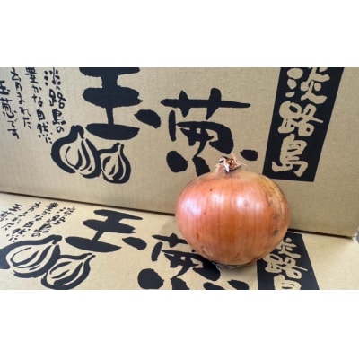 淡路島玉葱　10kg　◆配送8月上旬～翌年2月中旬