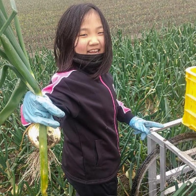 中山さんちから直送　淡路島たまねぎ10kg