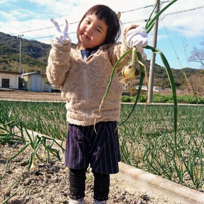 中山さんちから直送　淡路島たまねぎ10kg