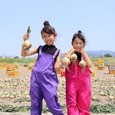 あわじ島完熟たまねぎ　3kg　◆配送6月～12月下旬