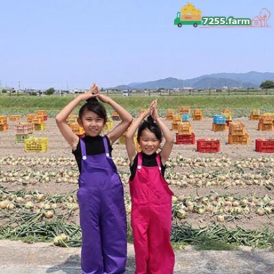 あわじ島完熟たまねぎ　10㎏　◆配送6月～12月下旬