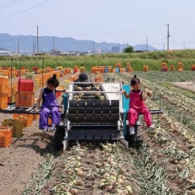 あわじ島完熟たまねぎ　10㎏　◆配送6月～12月下旬