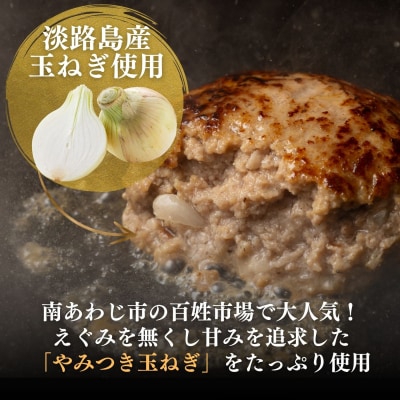 【R8.01月発送】淡路島玉ねぎ入れすぎハンバーグ 3kg(150g×20個) 冷凍