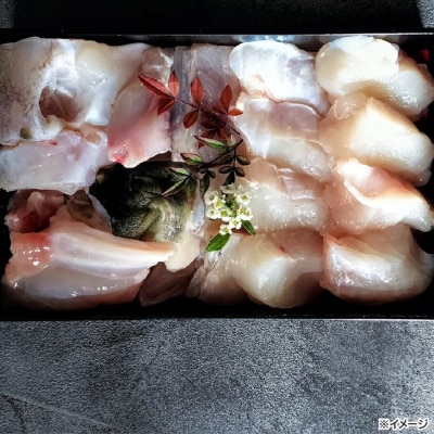 熟成とらふぐ【冬の王】(四人前)配送:2月28日まで