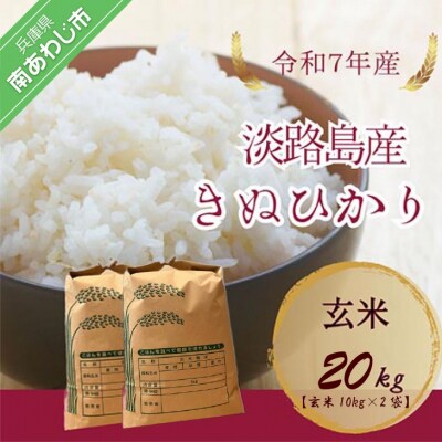 令和7年産新米　淡路島産キヌヒカリ　玄米20㎏