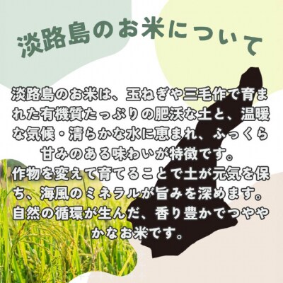 令和7年産新米　淡路島産キヌヒカリ　玄米20㎏