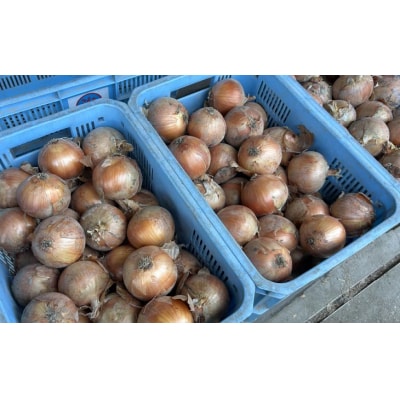 【じょまはん農園】淡路島産玉ねぎ5kg