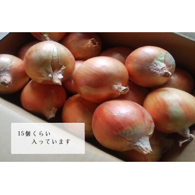 【ひょうご推奨ブランド】玉ねぎ・お米セット(各5kg)