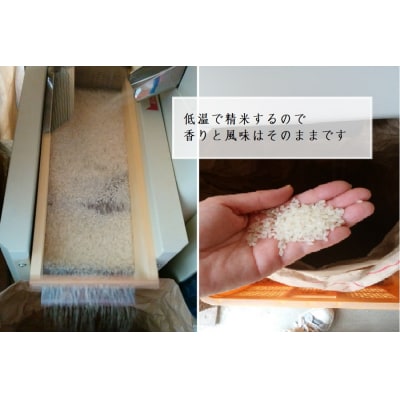 【淡路夢ファーム】玉ねぎ・お米セット