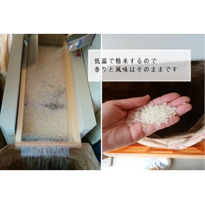 【ひょうご推奨ブランド】玉ねぎ・お米セット(各5kg)