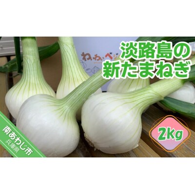 【わいわいベジタブル】春の訪れ!淡路島の新たまねぎ(2kg)◆配送2月～5月下旬