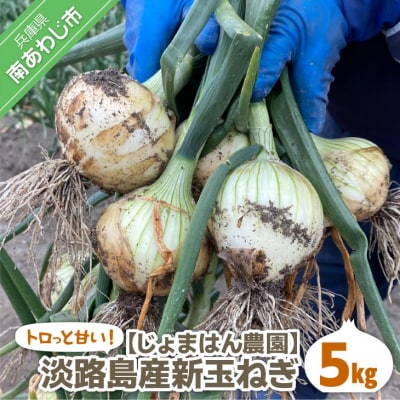 トロっと甘い!!淡路島産新玉ねぎ 5kg◆R9.3月上旬～5月中旬発送