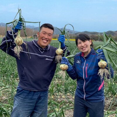 【新玉予約】【じょまはん農園】トロっと甘い!!淡路島産新玉ねぎ10㎏