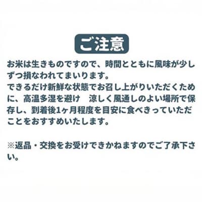 令和7年産新米　淡路島産キヌヒカリ　白米10kg