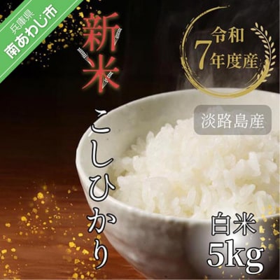 令和7年産新米　淡路島産こしひかり　白米5kg