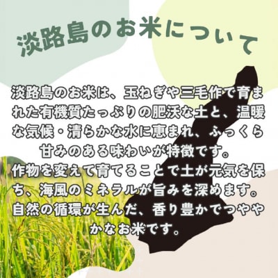 令和7年産　淡路島産こしひかり　白米30kg